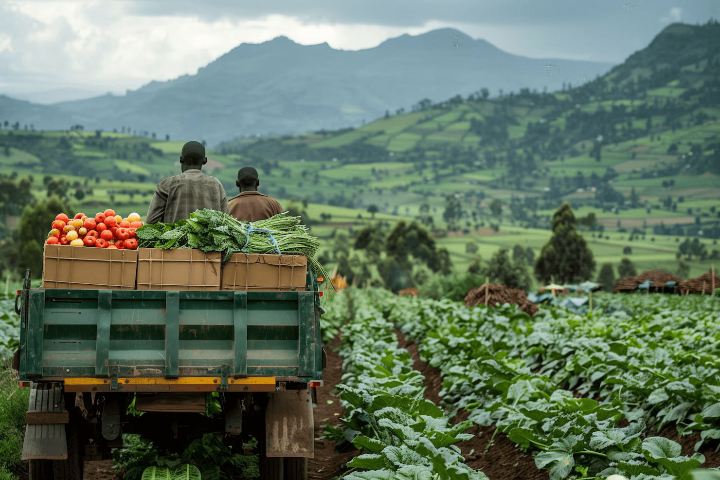 Agricultural products and farming