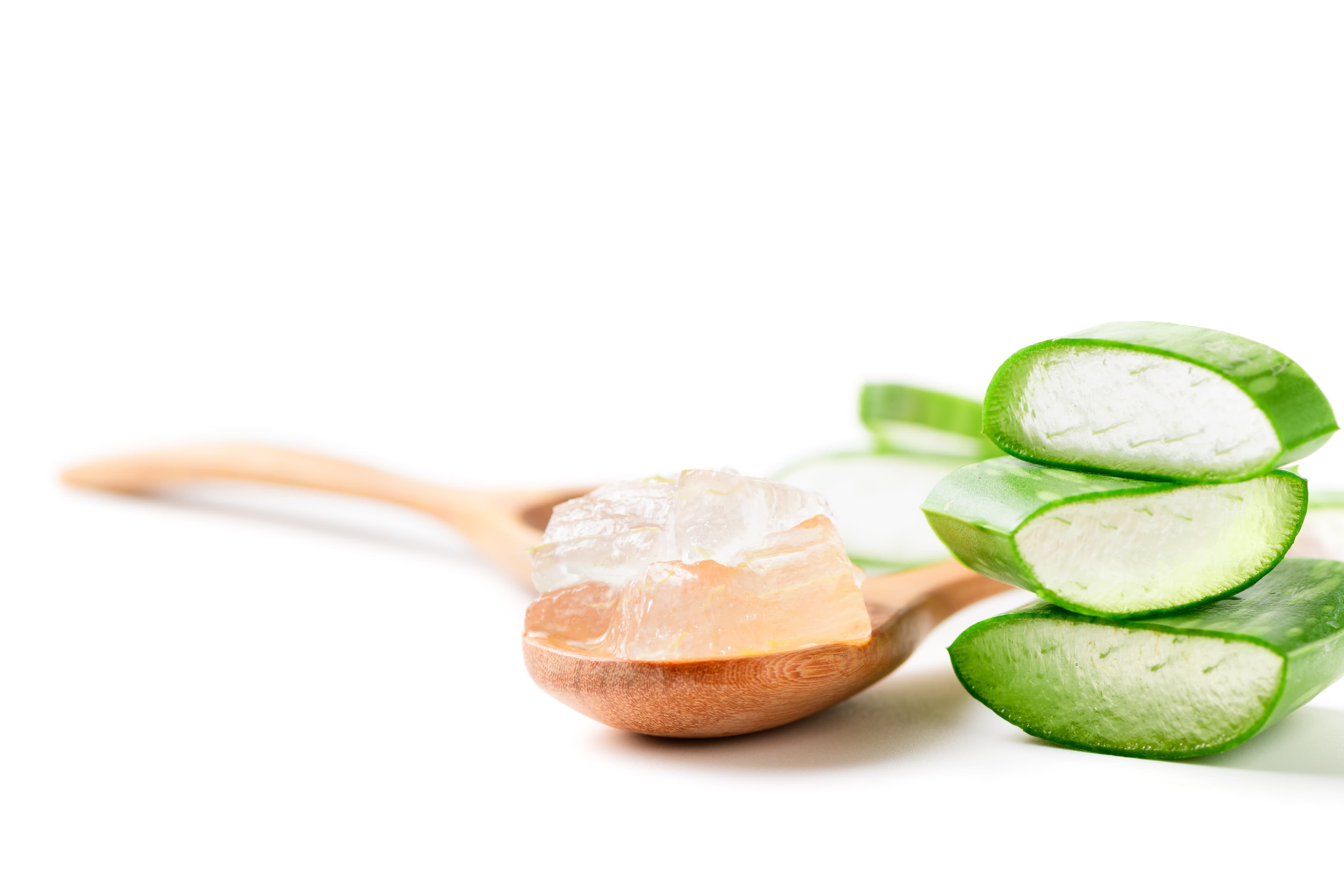 Aloe Vera (Powder, Extract, Gel)