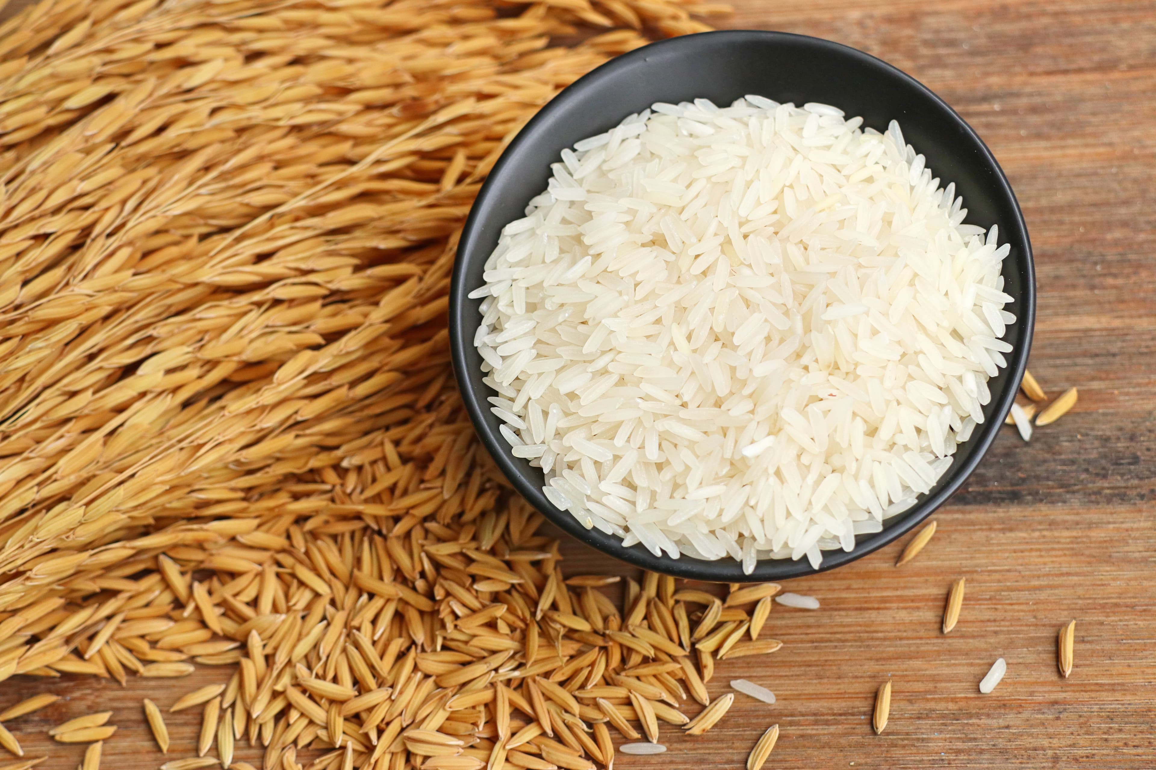 Basmati Rice (1121, 1509, Pusa, Traditional)