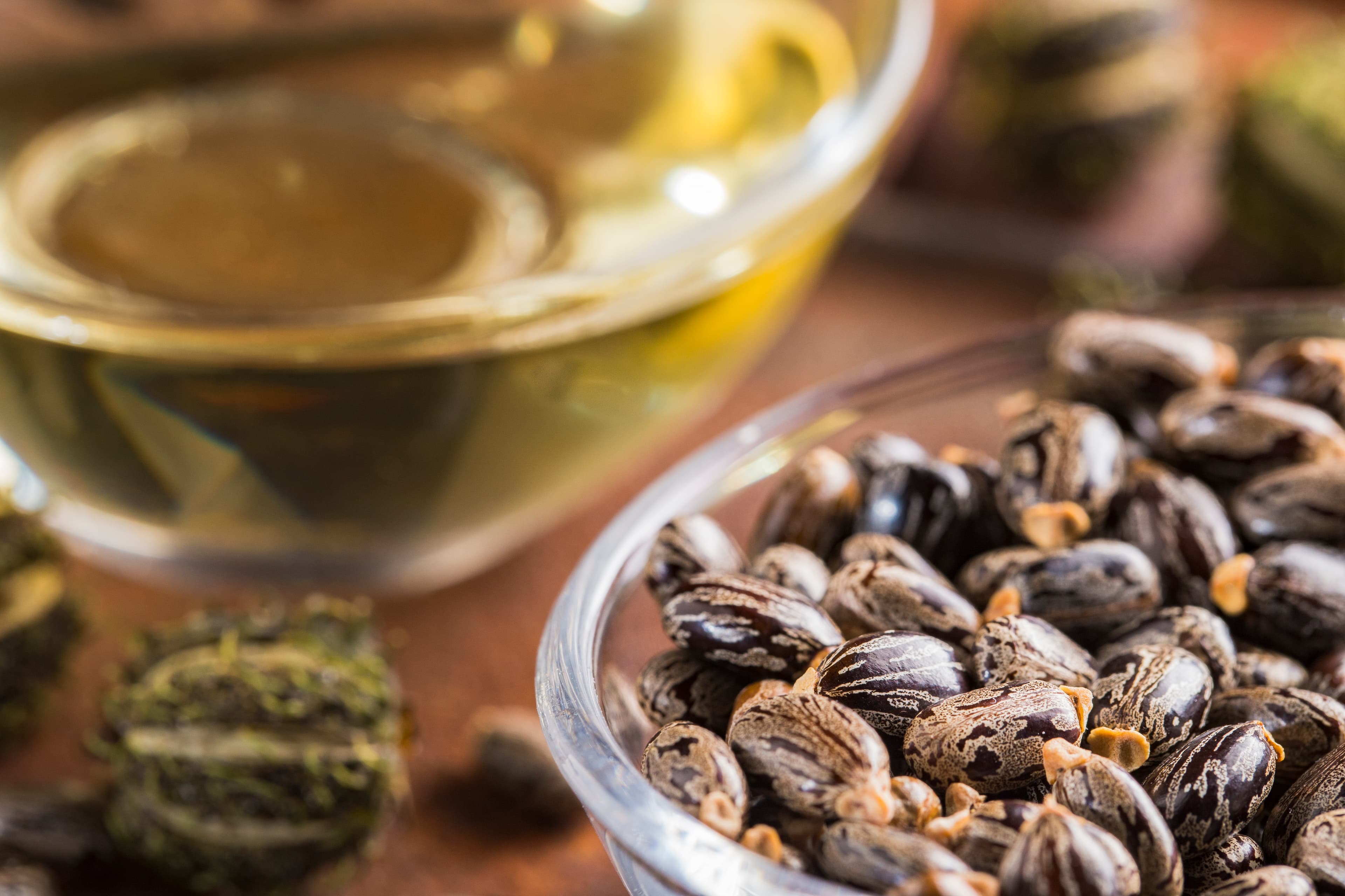 Castor Seeds (India = World's No.1 exporter)