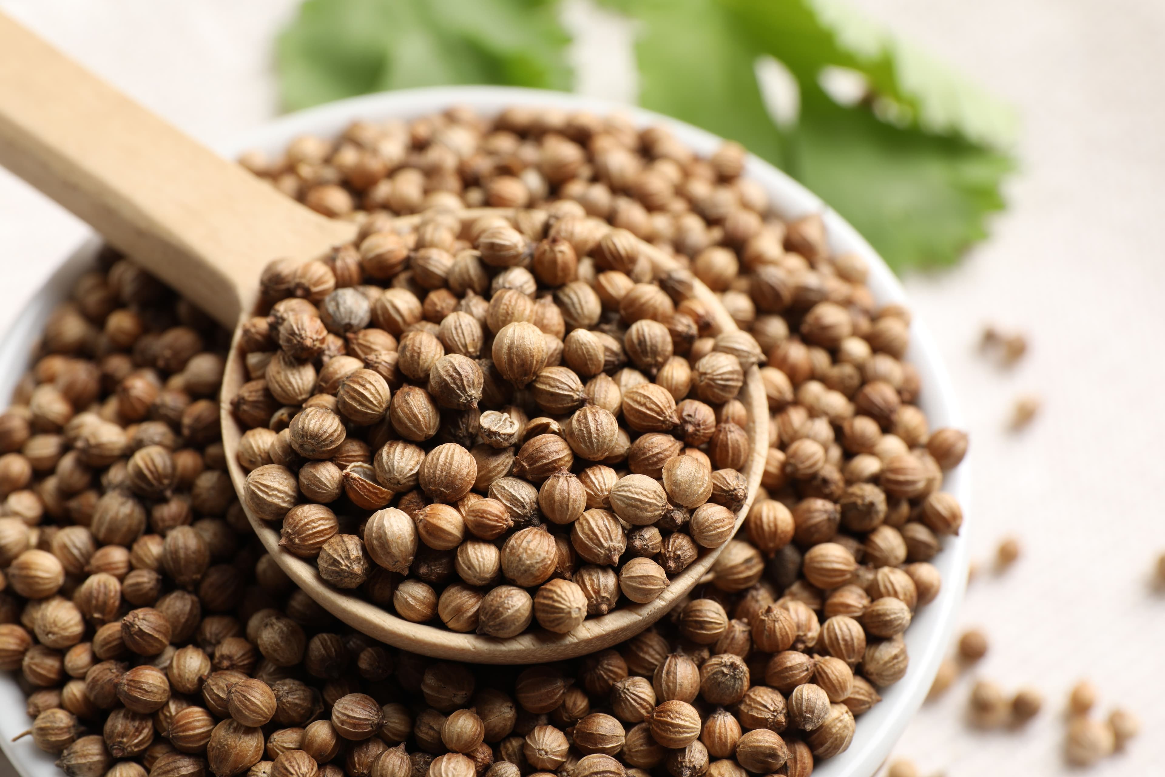 Coriander Seeds (Whole, Ground)