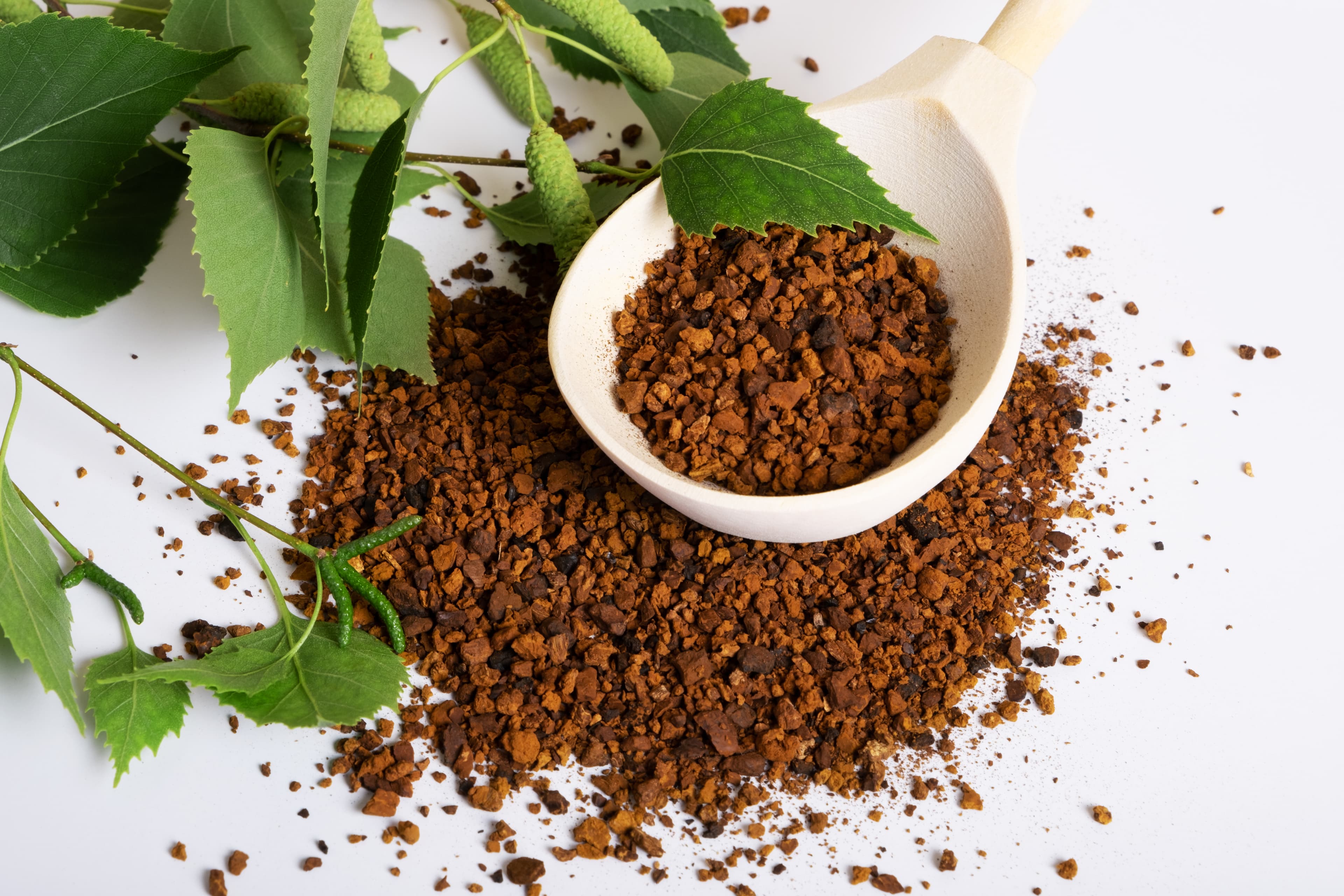 Giloy (Guduchi – Ayurvedic Immunity Booster)