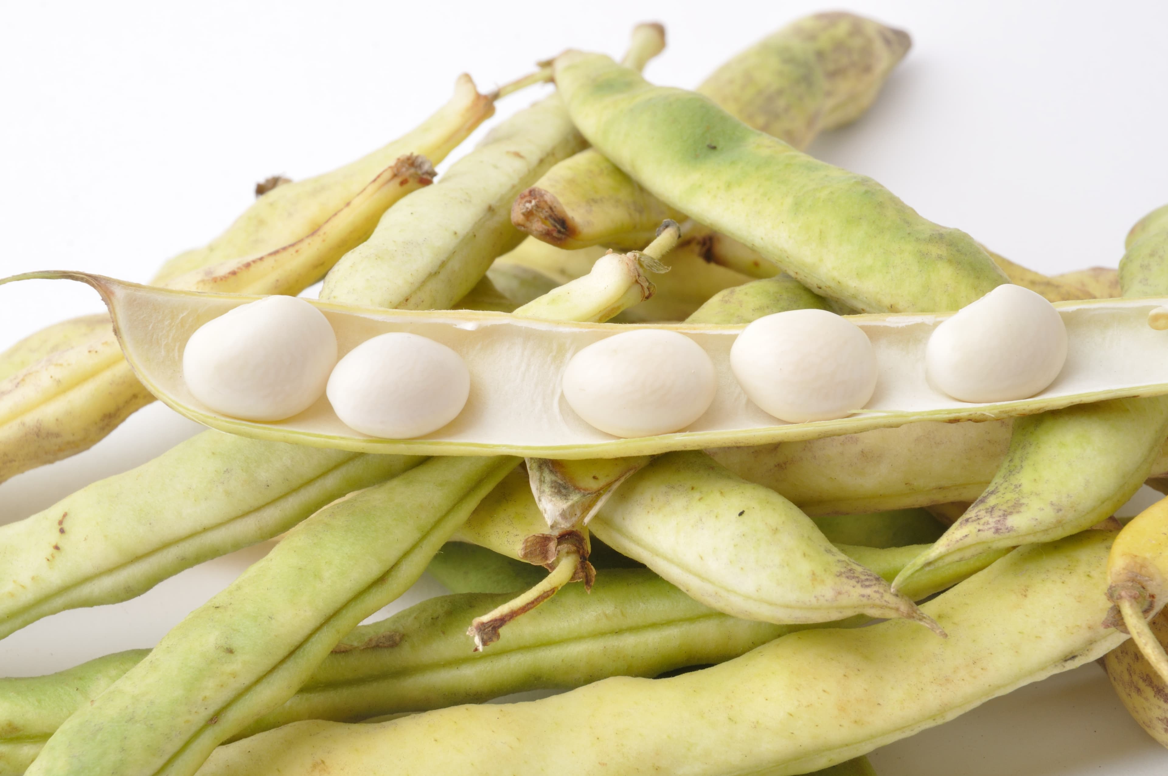 Guar Gum (Food Grade, Industrial Grade – India = world's #1 supplier)