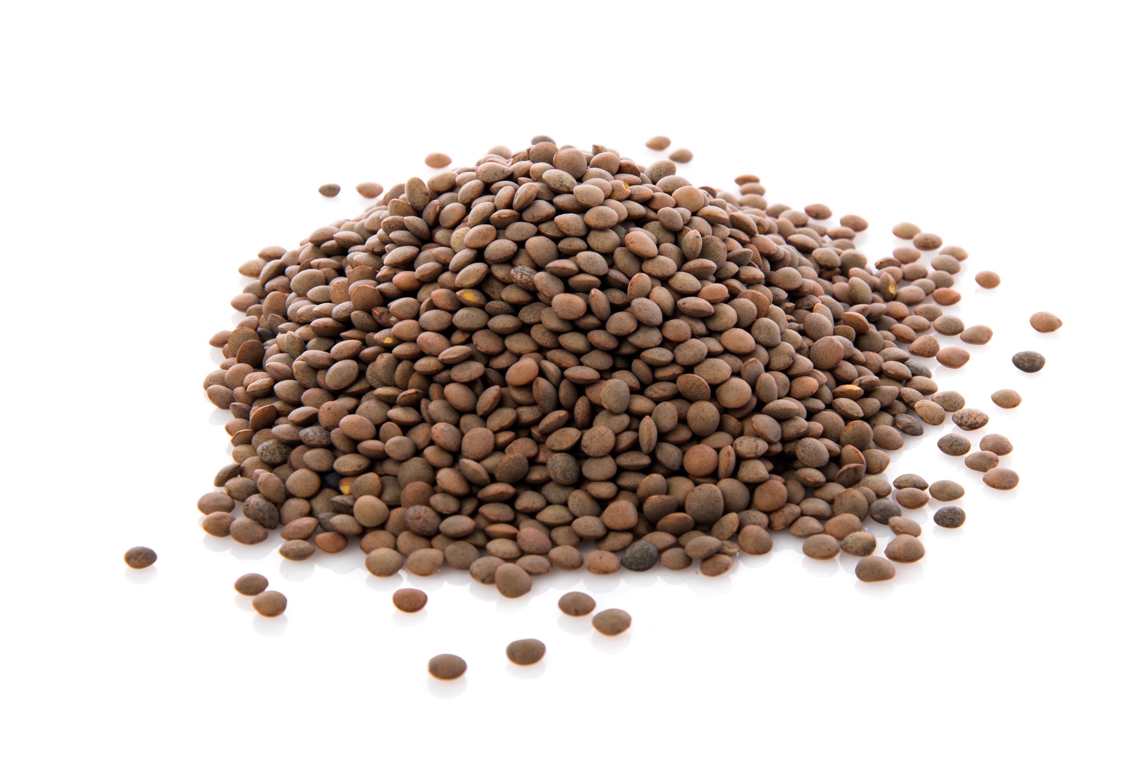 Horse Gram