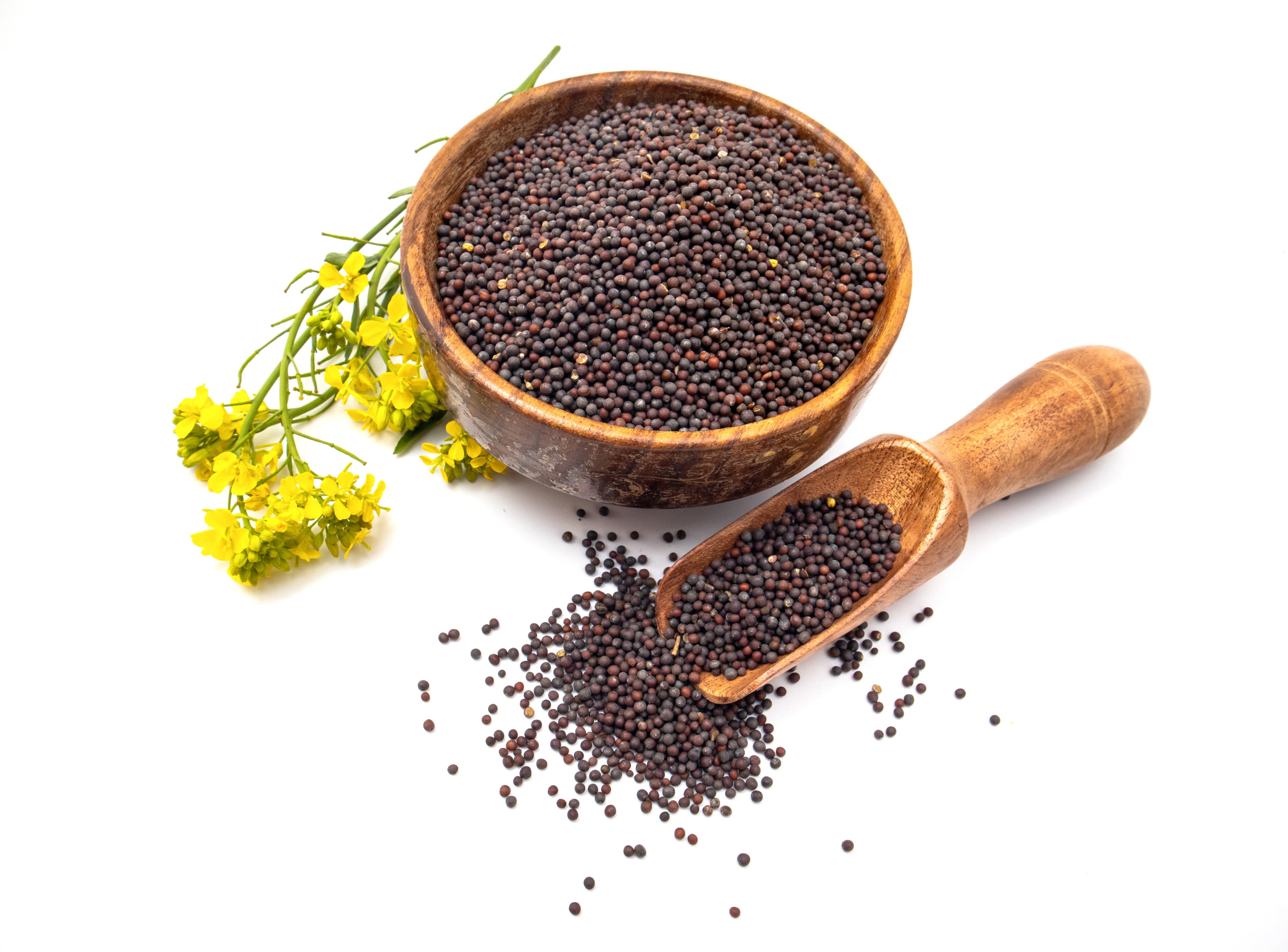 Mustard Seeds (Yellow, Black, Brown)