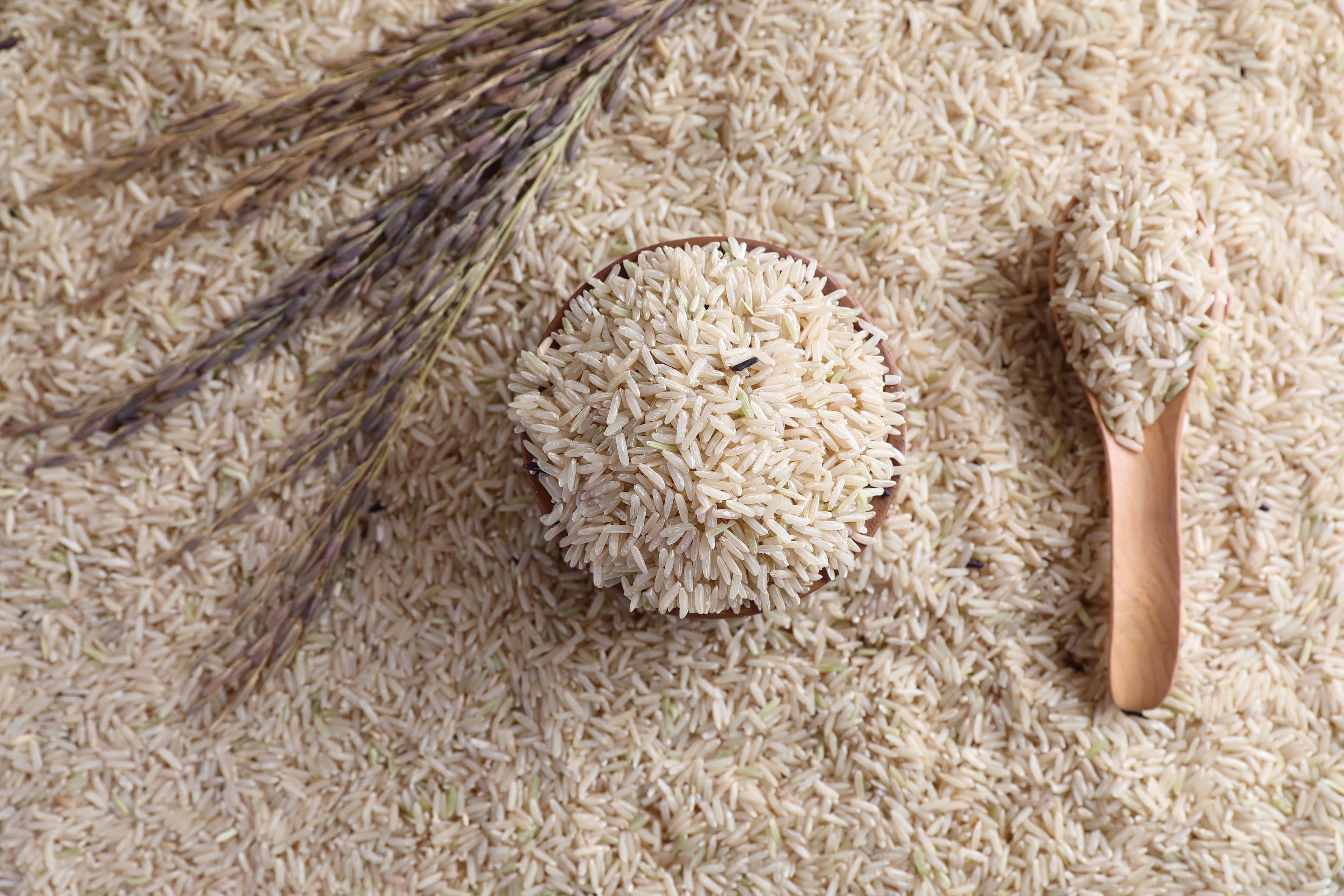 Non-Basmati Parboiled Rice (IR64, Sona Masoori, Parboiled, Broken)