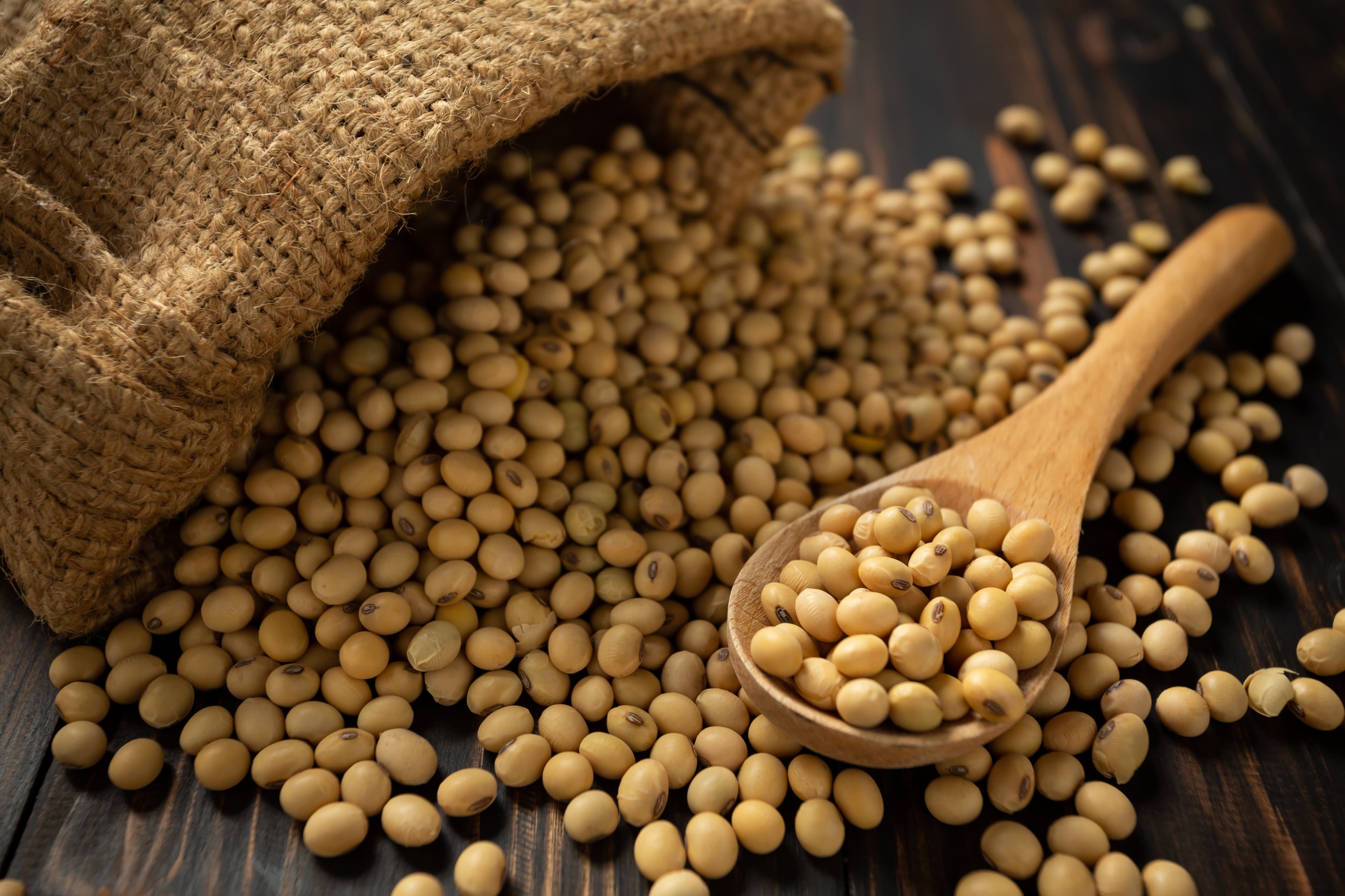 Soybeans (Whole, Soymeal, Processed)
