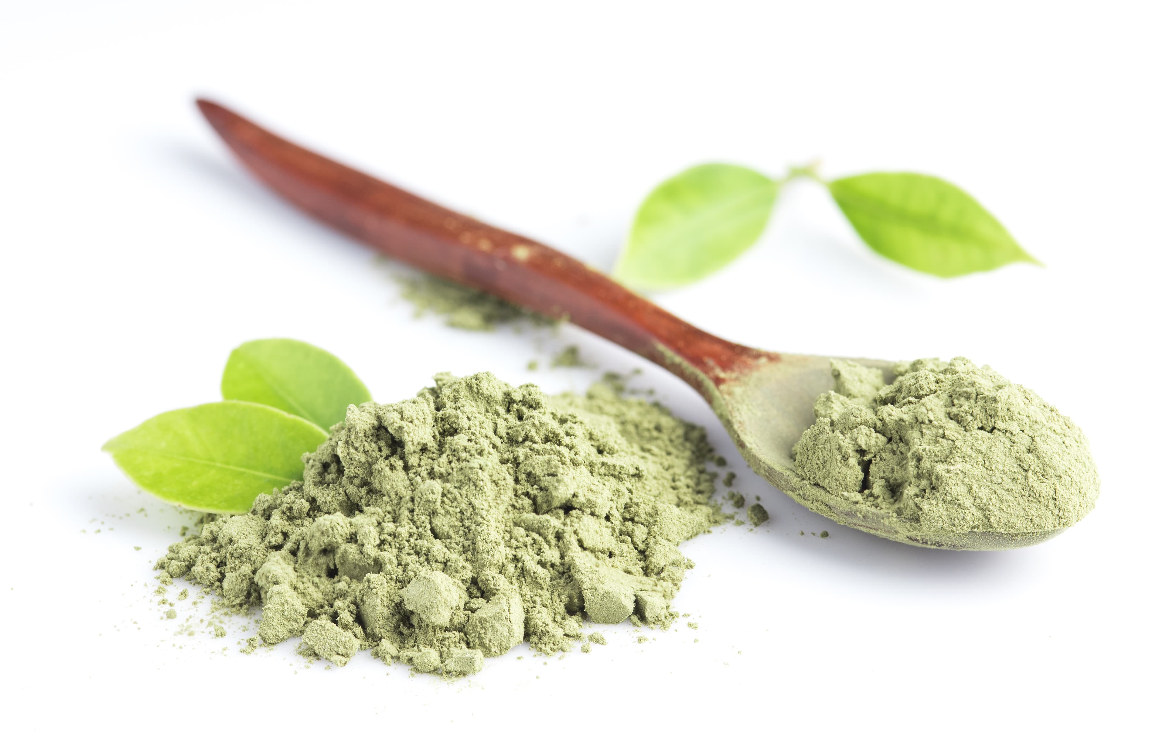 Stevia Leaves & Powder